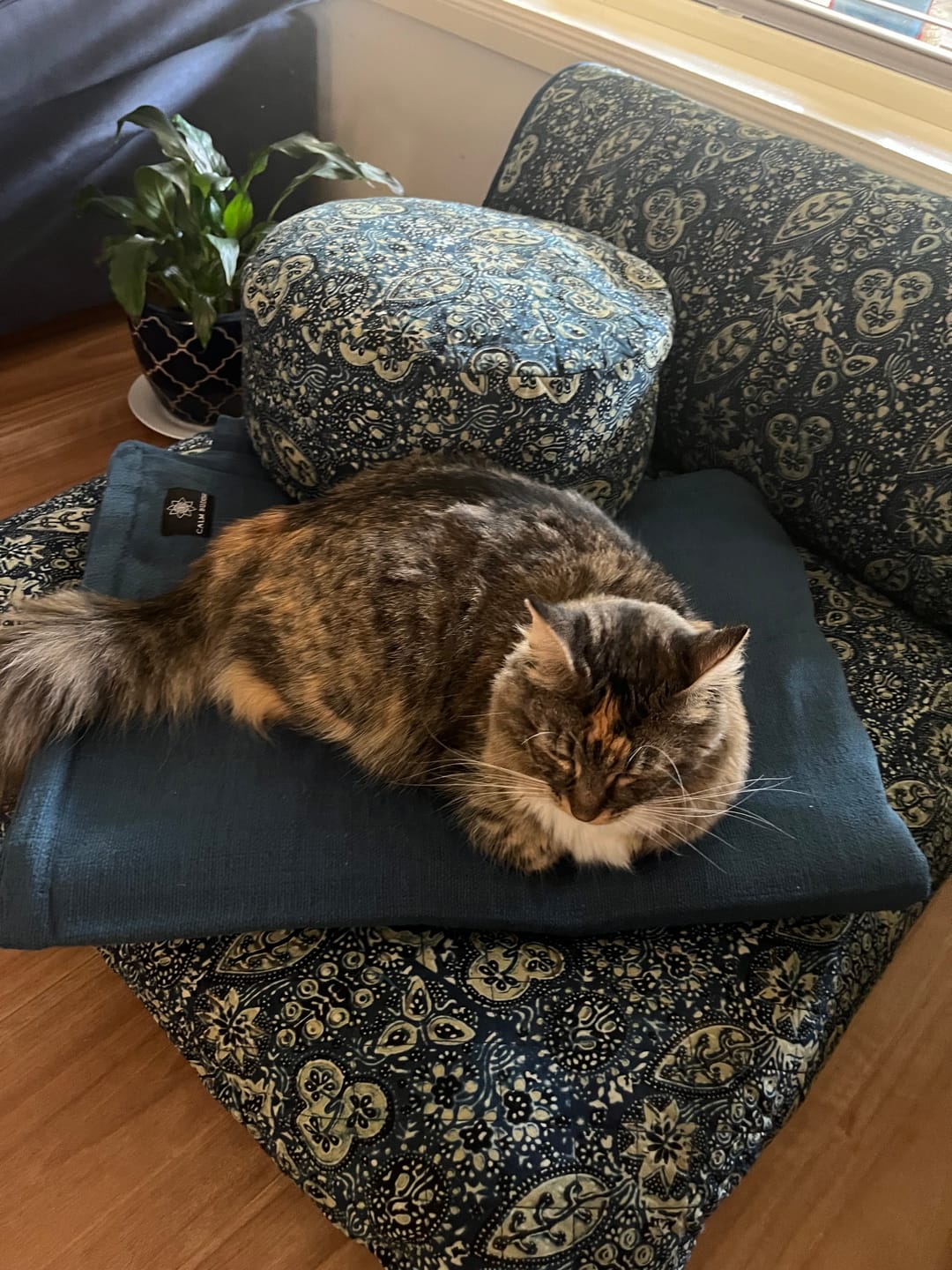 Customer photo review of Ajrakh Fig Leaf Blue - Meditation Comfort Bundle