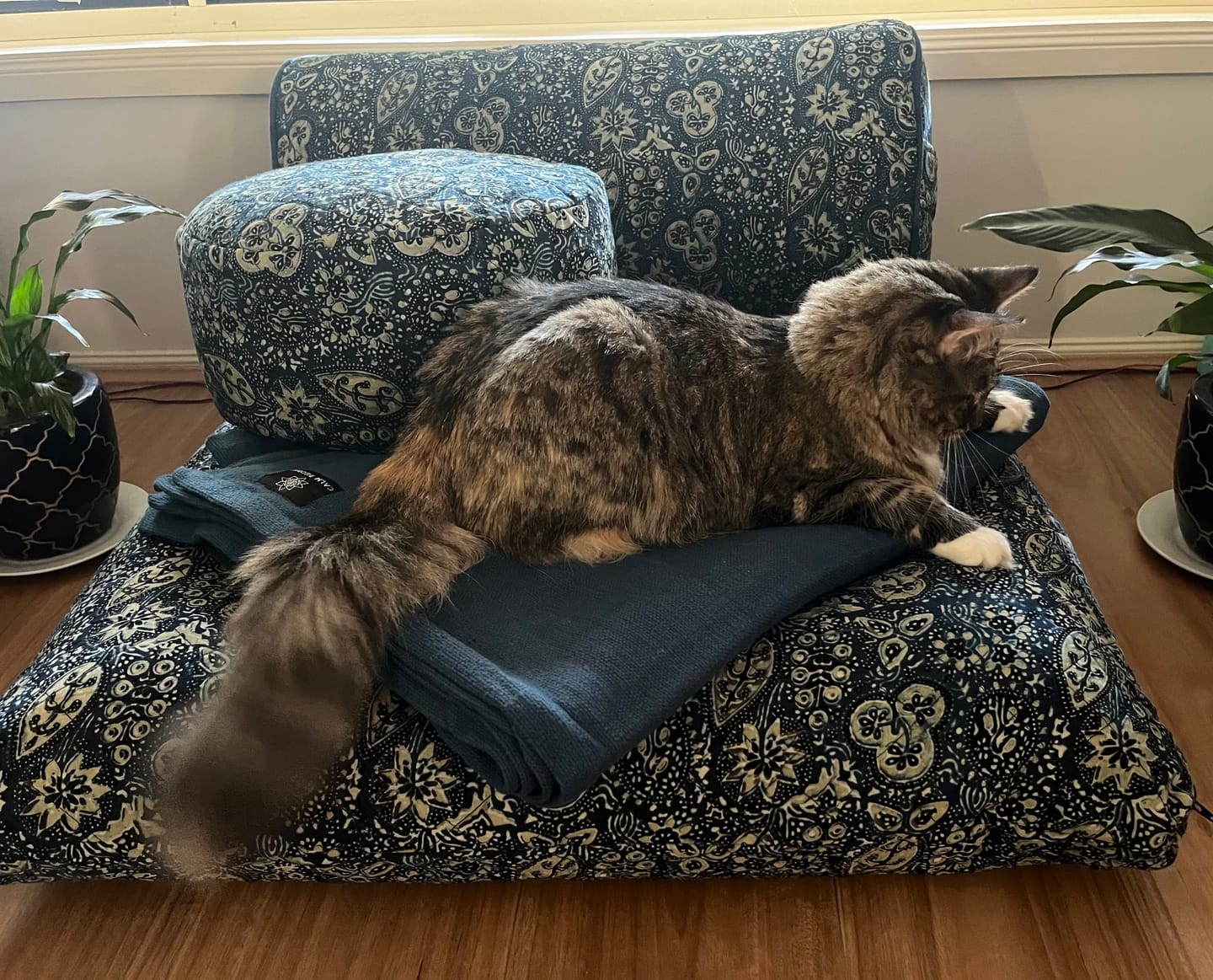 Customer photo review of Oval Yoga Bolster- Ajrakh Fig Leaf Blue