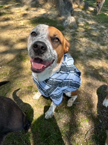 Customer photo review of Free & Easy Return or Exchange Coverage + Package Protection