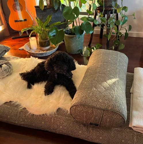 Customer photo review of Wind Star Yoga Nidra and Meditation Comfort Bundle