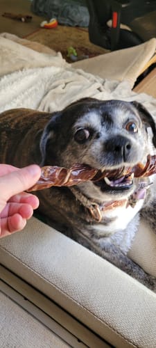Customer photo review of Beef Jerky Springs 7-8"