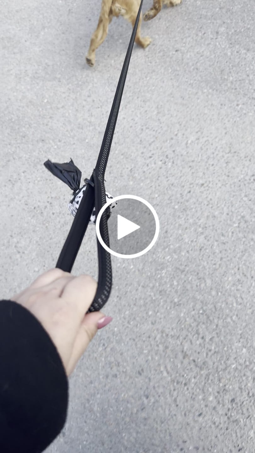 Customer video review of Bajspåsehållare - Spots on Run