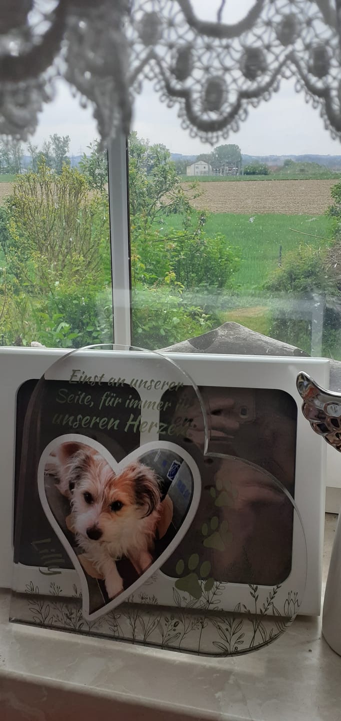 Customer photo review of Einst an meiner Seite - Individuelles Glasherz