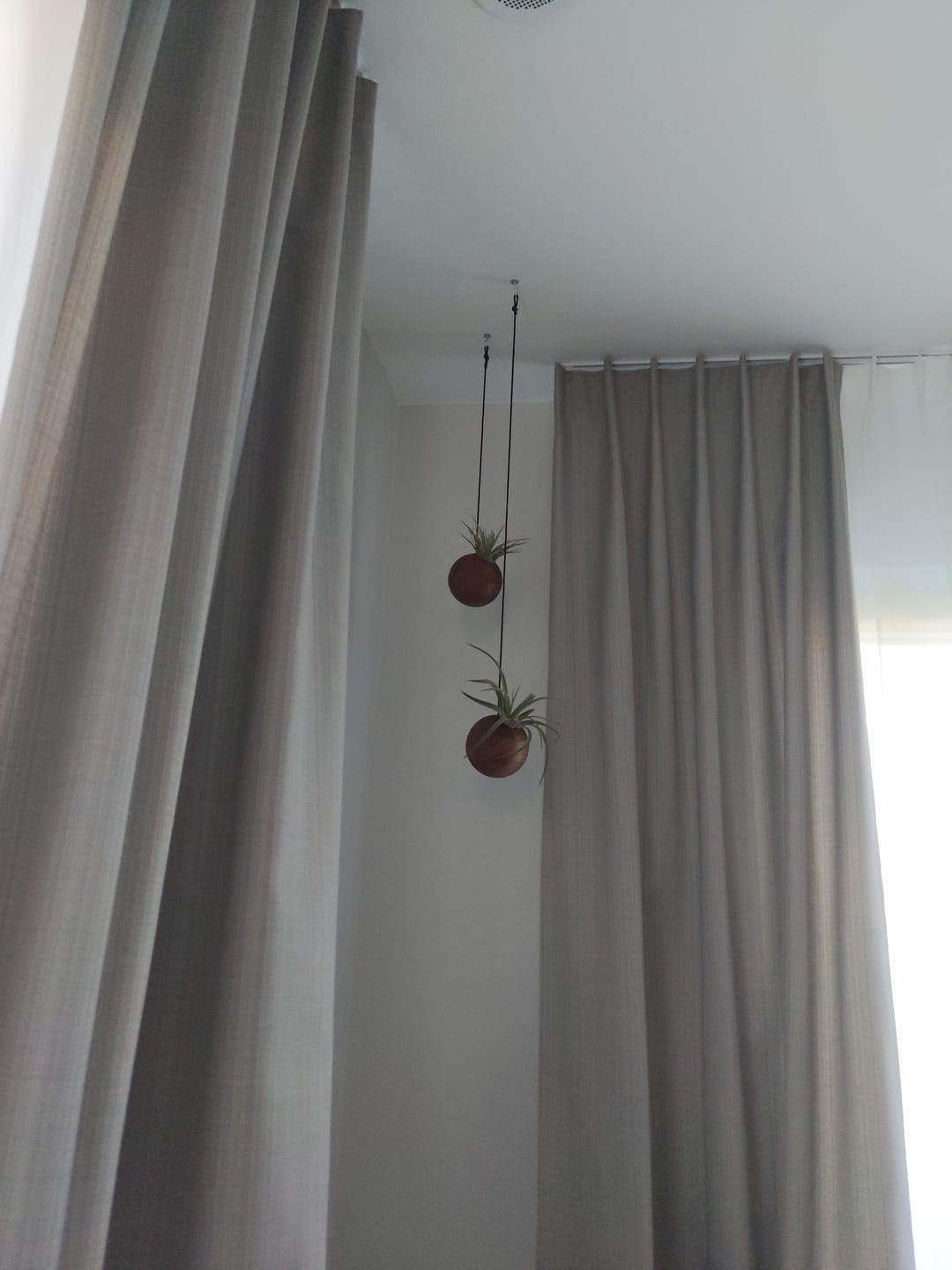 Customer photo review of Tilly Xylo Globus
