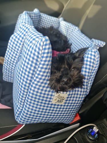 Customer photo review of Trasportino Cotone Vichy