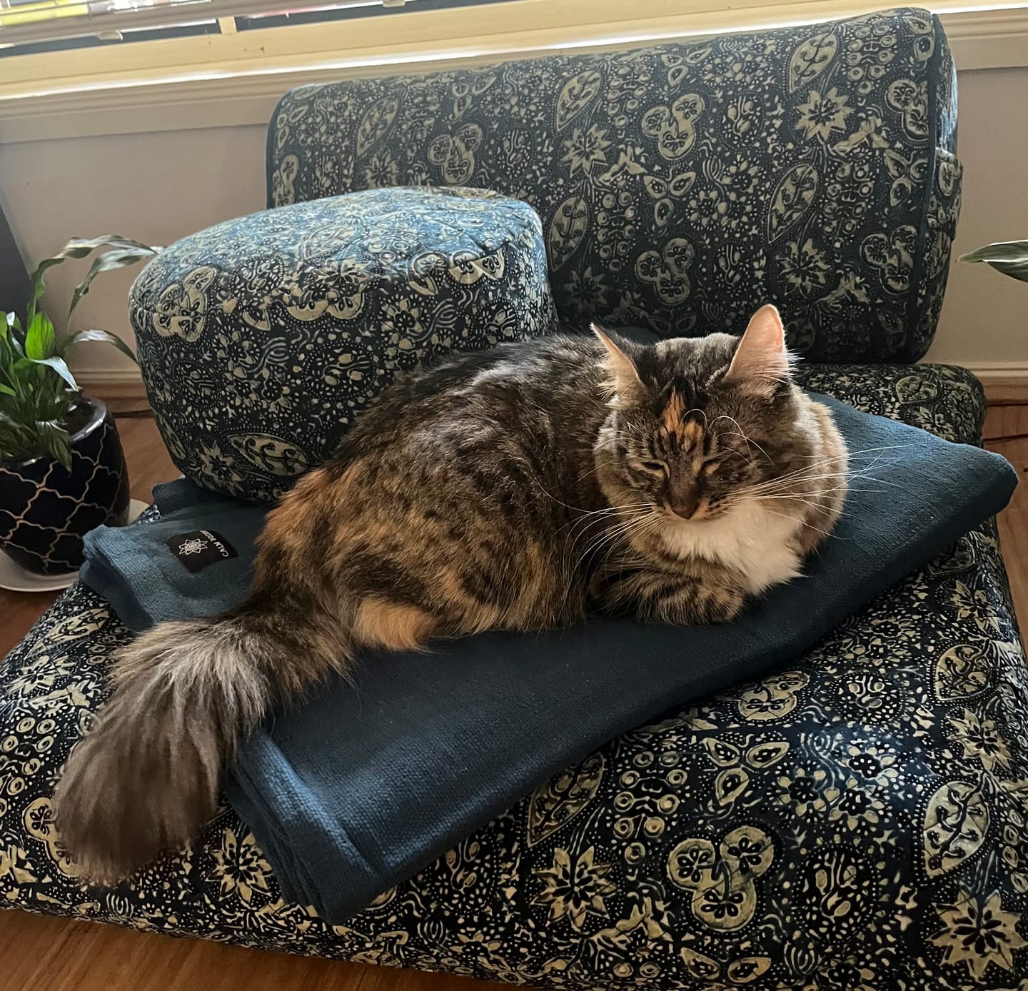 Customer photo review of Yoga Blankets
