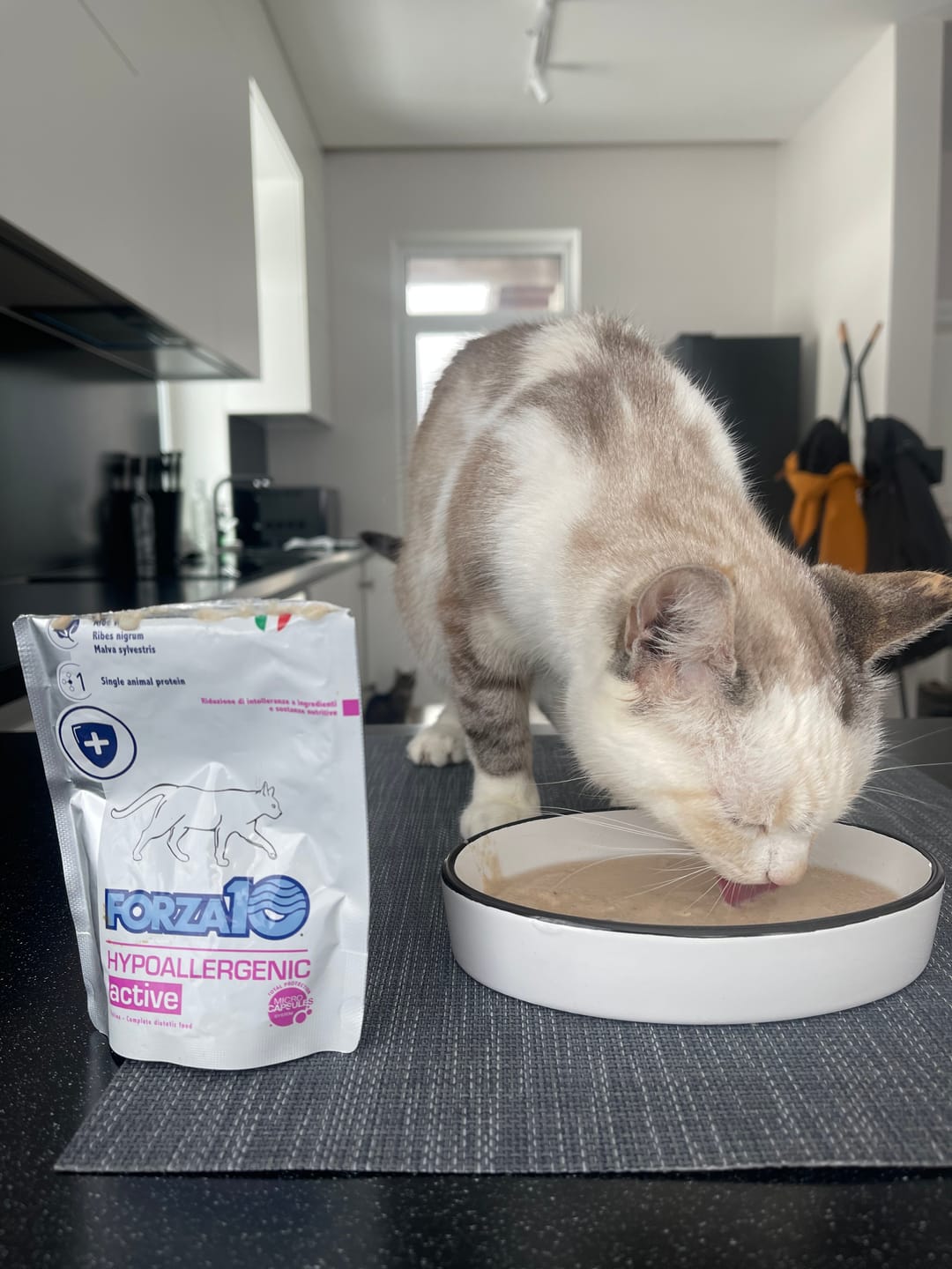 Customer photo review of Hypoallergenic ActiWet konservi kaķiem ar zivi