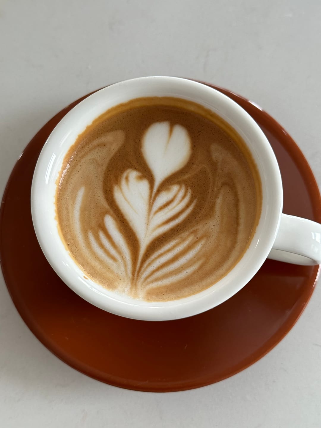 Customer photo review of Equilibre beans - Ethiopia - DAF - Our local brand