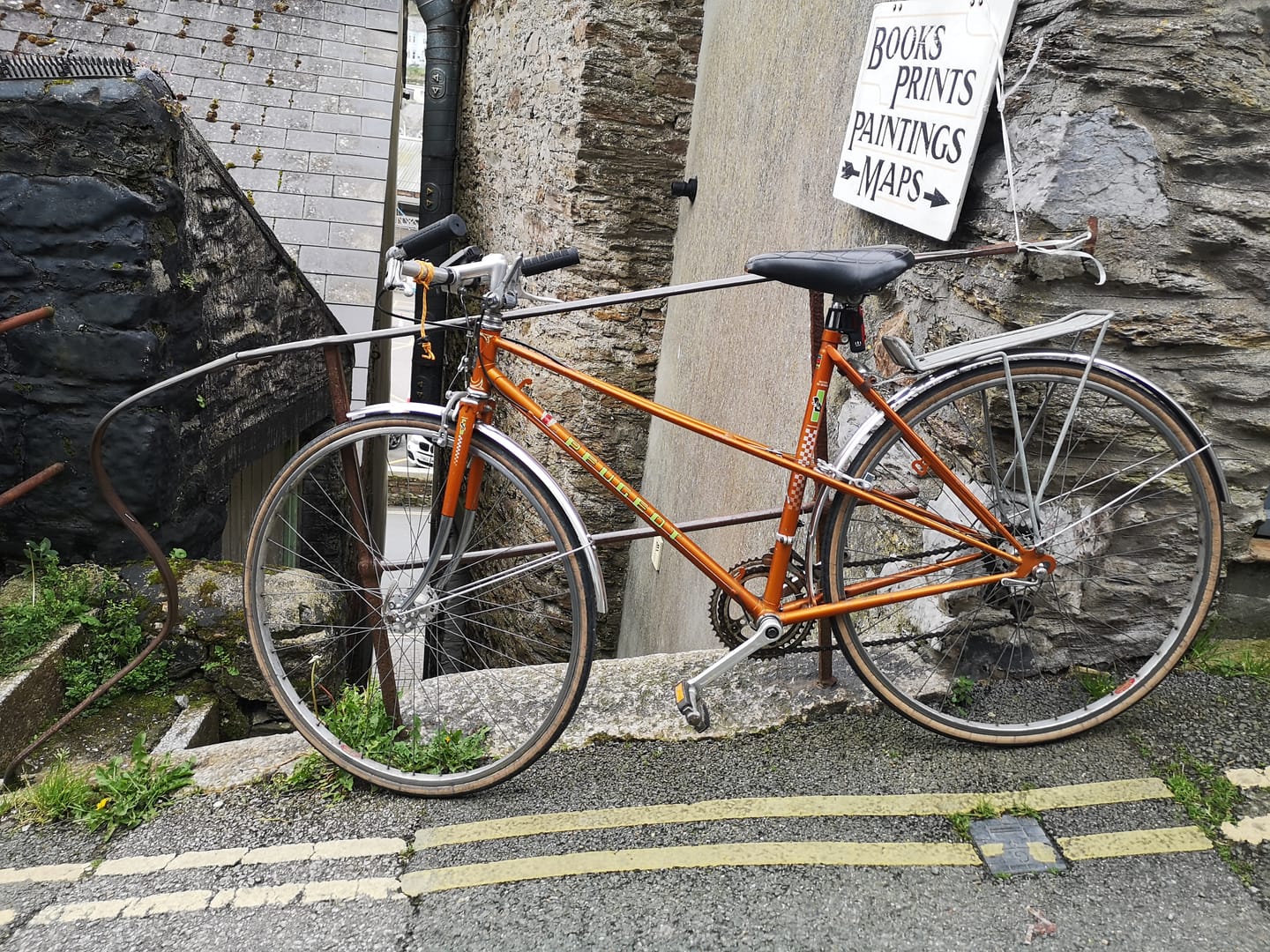 Customer photo review of Temple Alloy Mudguards