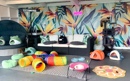 Customer photo review of Bird of Paradise - Custom Sized Wallpaper Mural (per m2)