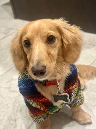 Customer photo review of Free & Easy Return or Exchange Coverage + Package Protection