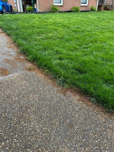 Customer photo review of GCI Turf Fe (Iron) 0-0-0