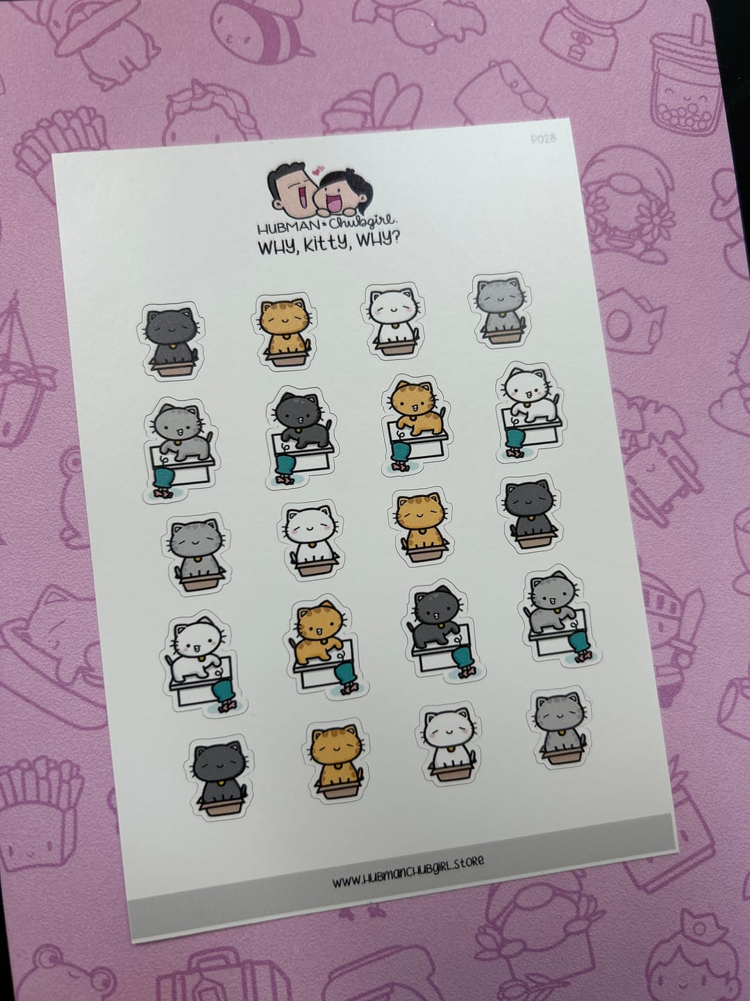 Customer photo review of Why, Kitty, Why? Planner Stickers
