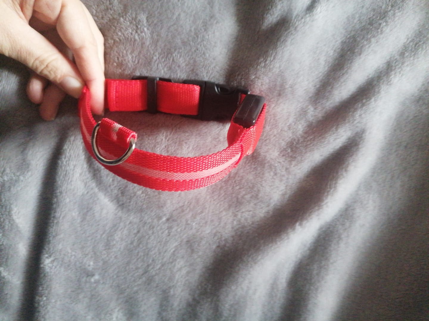Customer photo review of Emmalove - Leuchtendes Halsband
