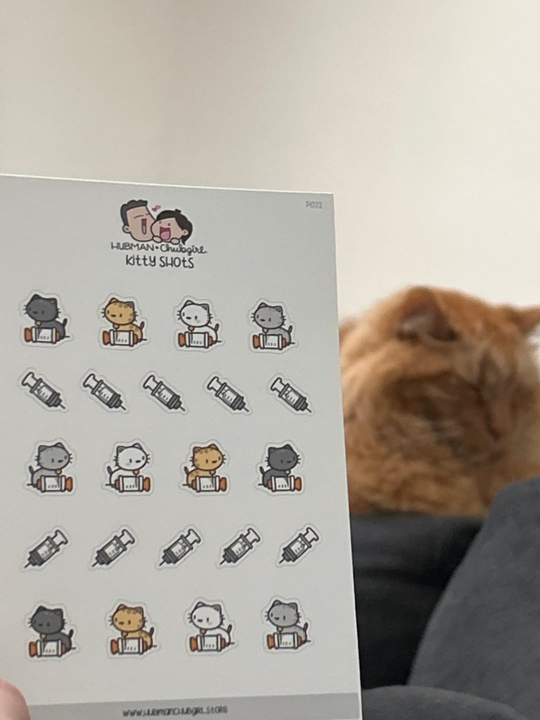 Customer photo review of Kitty Shots Planner Stickers