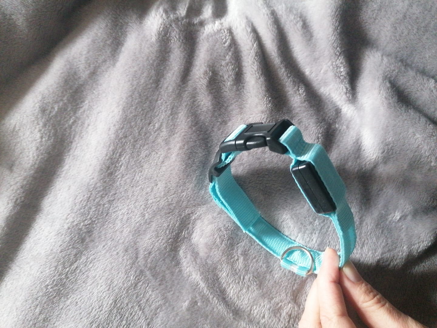 Customer photo review of Emmalove - Leuchtendes Halsband