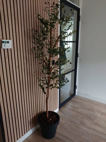 Customer photo review of Kunst Olijfboom 170cm