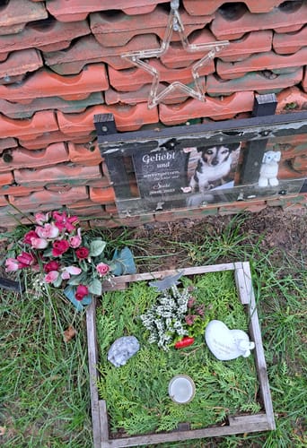 Customer photo review of Hunde Gedenktafel mit Foto & Spruch (UV- & Wetterfest)