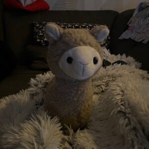 Customer photo review of Alpaka Kuscheltier in 2 Größen