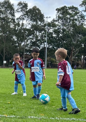 Customer photo review of T-Spec Series IV - Club Training Football