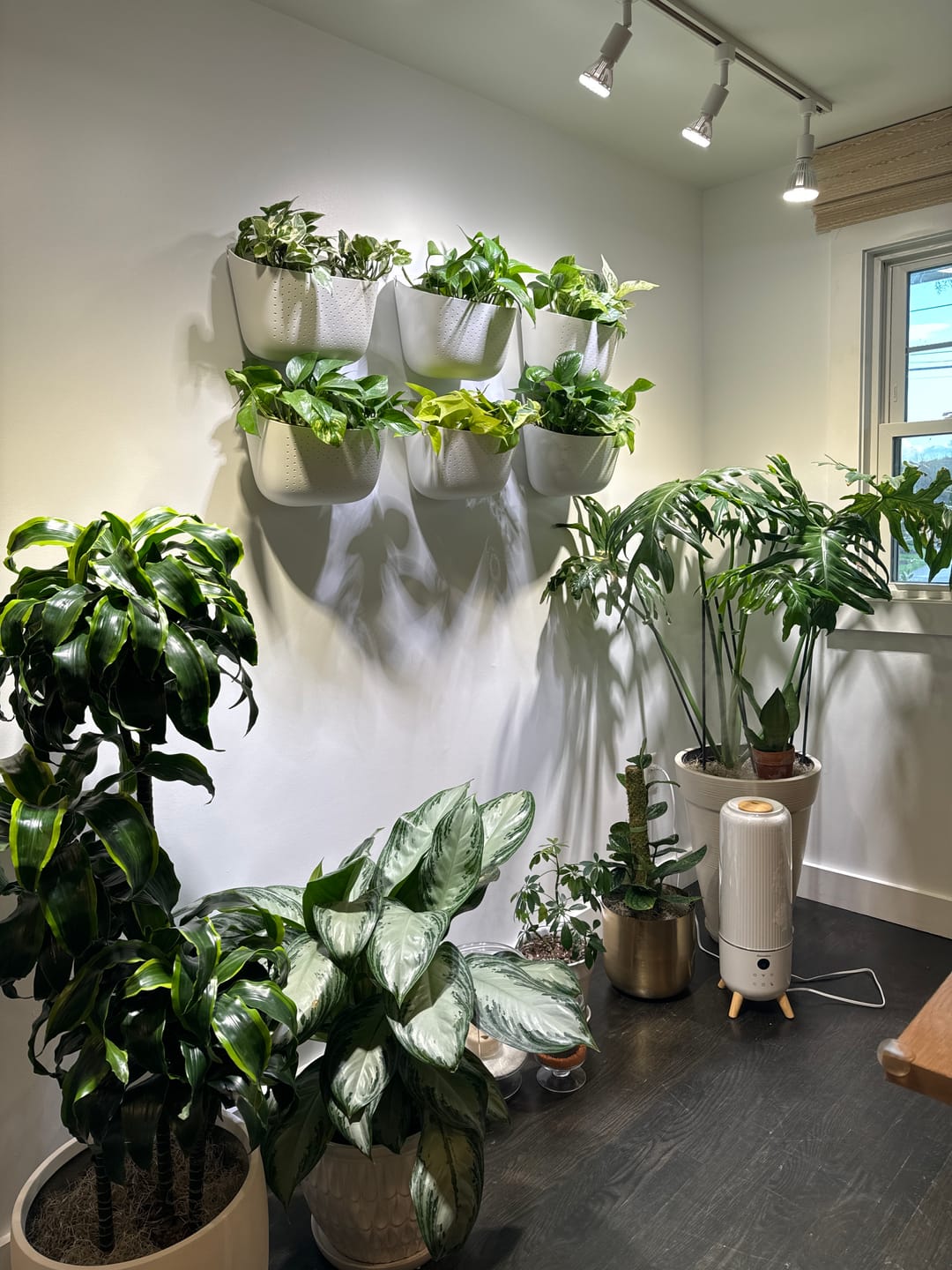 Customer photo review of Eco White Wall Planter