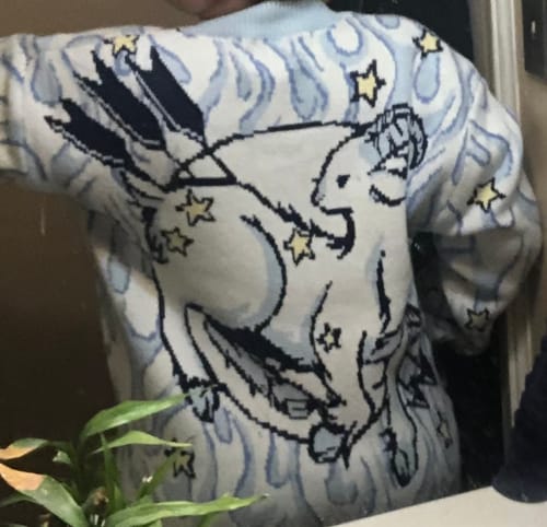 Customer photo review of Aries Cardigan