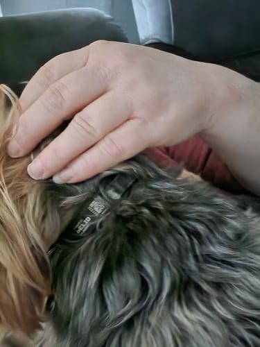 Customer photo review of ByteTag Slide