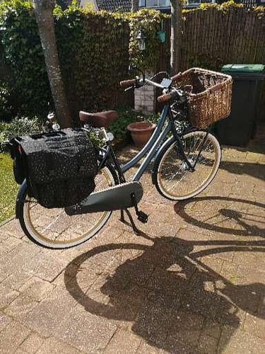 Customer photo review of E-Cargo N7