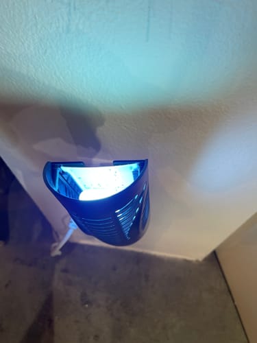 Customer photo review of 20% CashBack