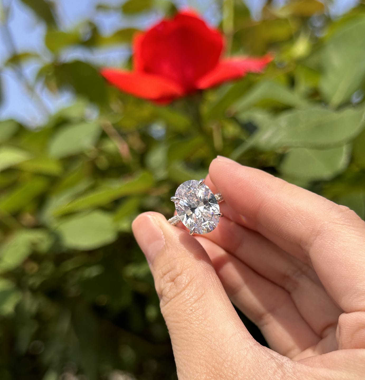 Customer photo review of S925 8.0 Carat Oval Cut Exclusive Simulated Diamond Engagement Ring Travel Ring For Women