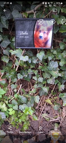 Customer photo review of Hunde Gedenktafel mit Foto & Spruch (UV- & Wetterfest)