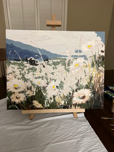 Customer photo review of Daisy Meadows - Paint by Numbers