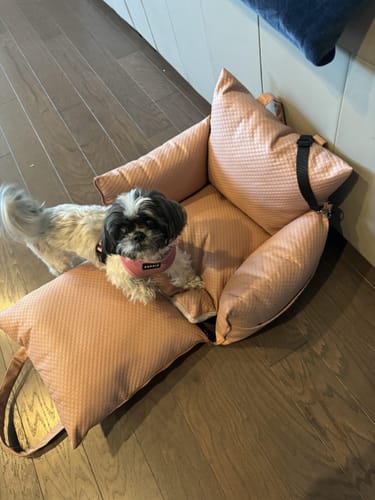 Customer photo review of Sleeping Paws Luxe Pooch Pad