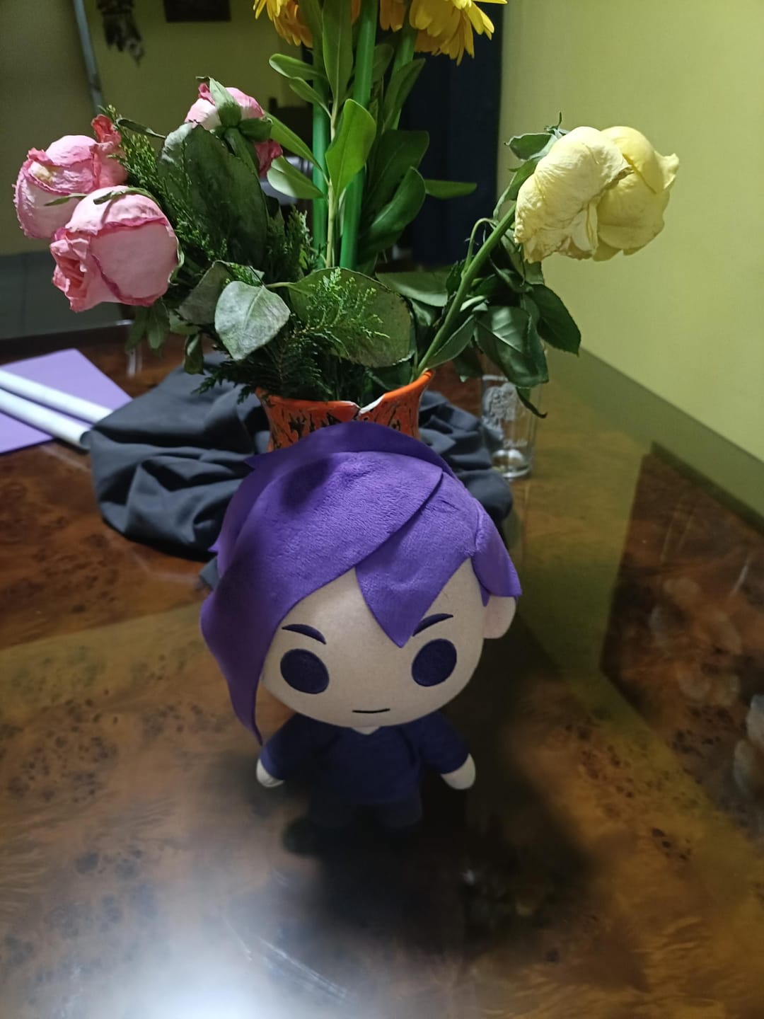 Customer photo review of Stardew Valley - Sebastian Collector's Plush