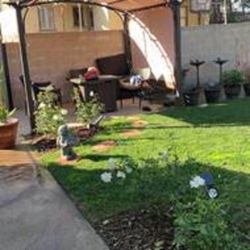 Customer photo review of SUNJOY Outdoor Patio 9.5x11 Modern Tan Metal Arched Pergola Kit with Adjustable Canopy