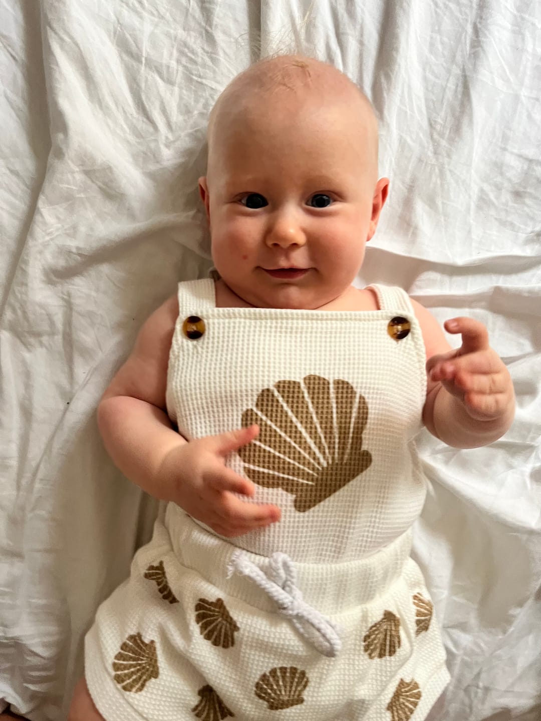 Customer photo review of Seashell Set