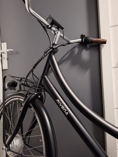 Customer photo review of E-Cargo N3