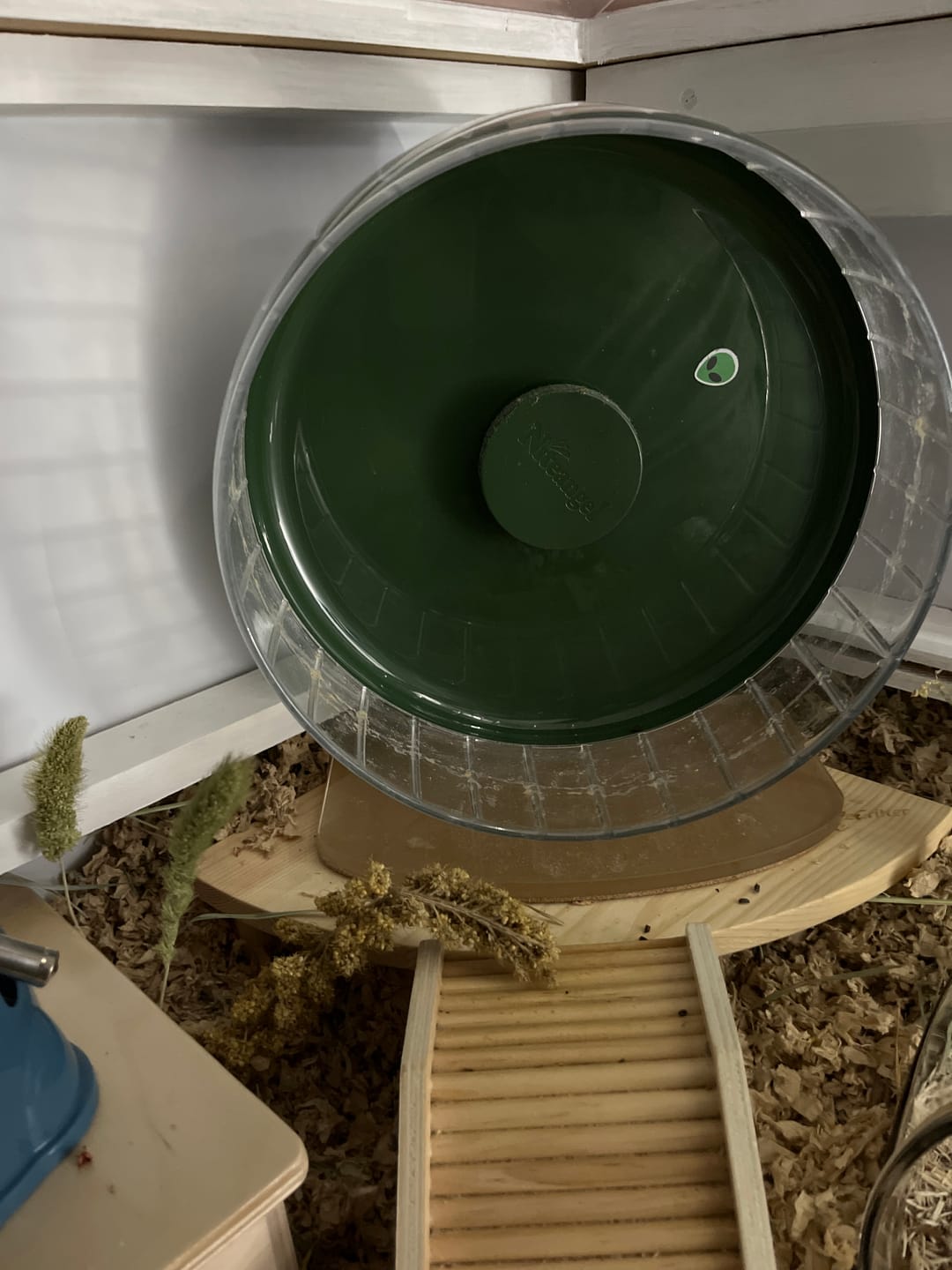 Customer photo review of Niteangel Super-Silent Hamster Exercise Wheels
