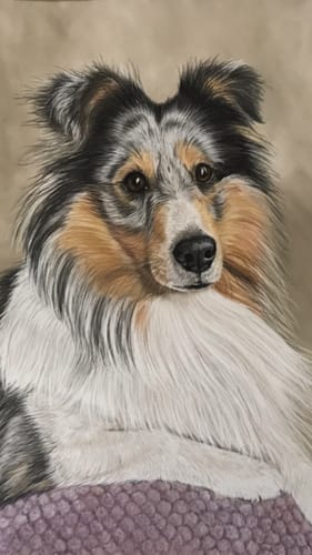 Customer photo review of AATU 80/20 Turkey Dry Dog Food