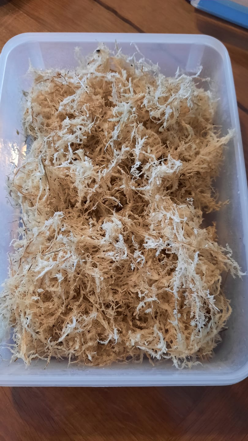 Customer photo review of Sphagnum Moos - Muddis Rapunzel Moos aus Deutschland