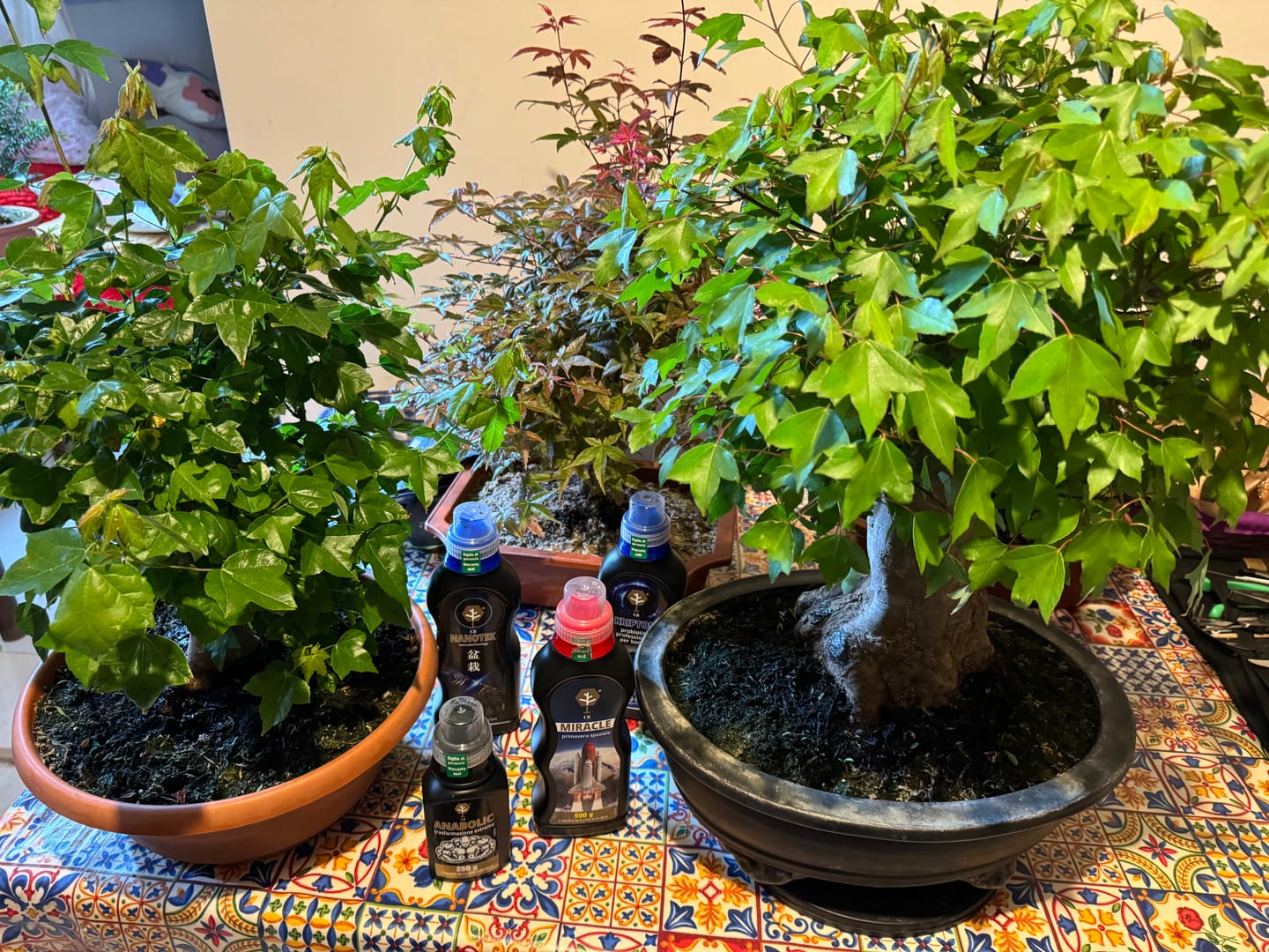 Customer photo review of NEO CB®