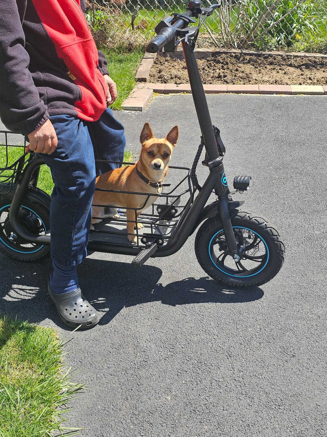 Customer photo review of GYROOR S2 4 Digit Cable Lock With Key For Bicycle And Scooter