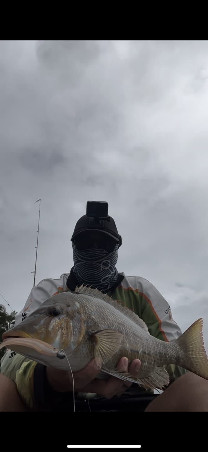 Customer photo review of DEATH TAIL