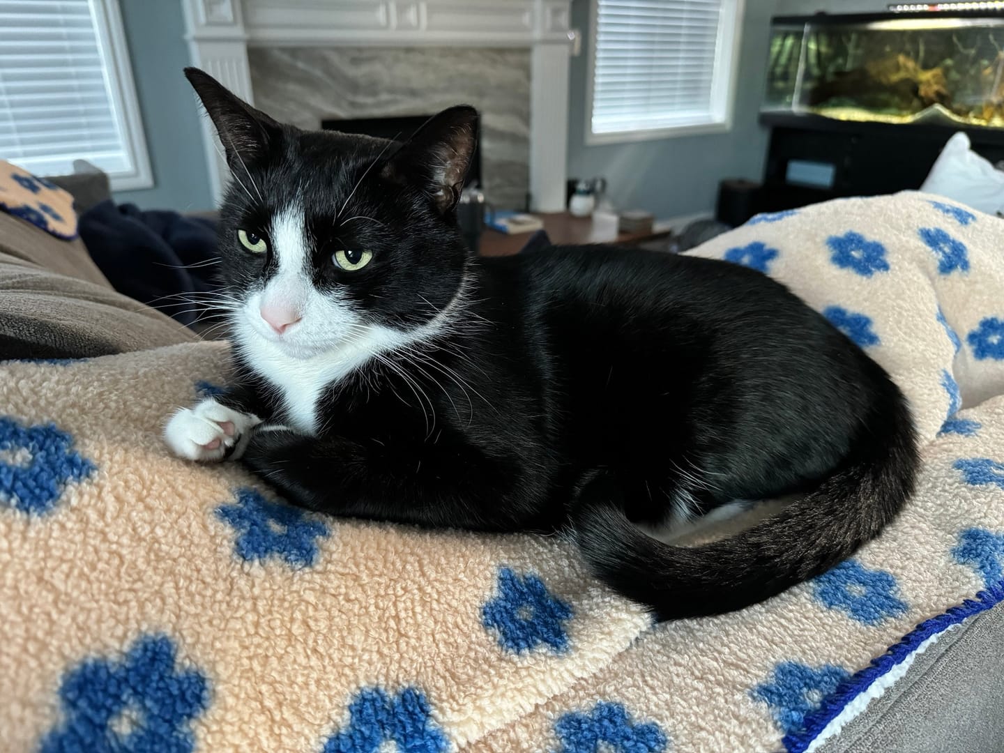 Customer photo review of Little Summer Blanket