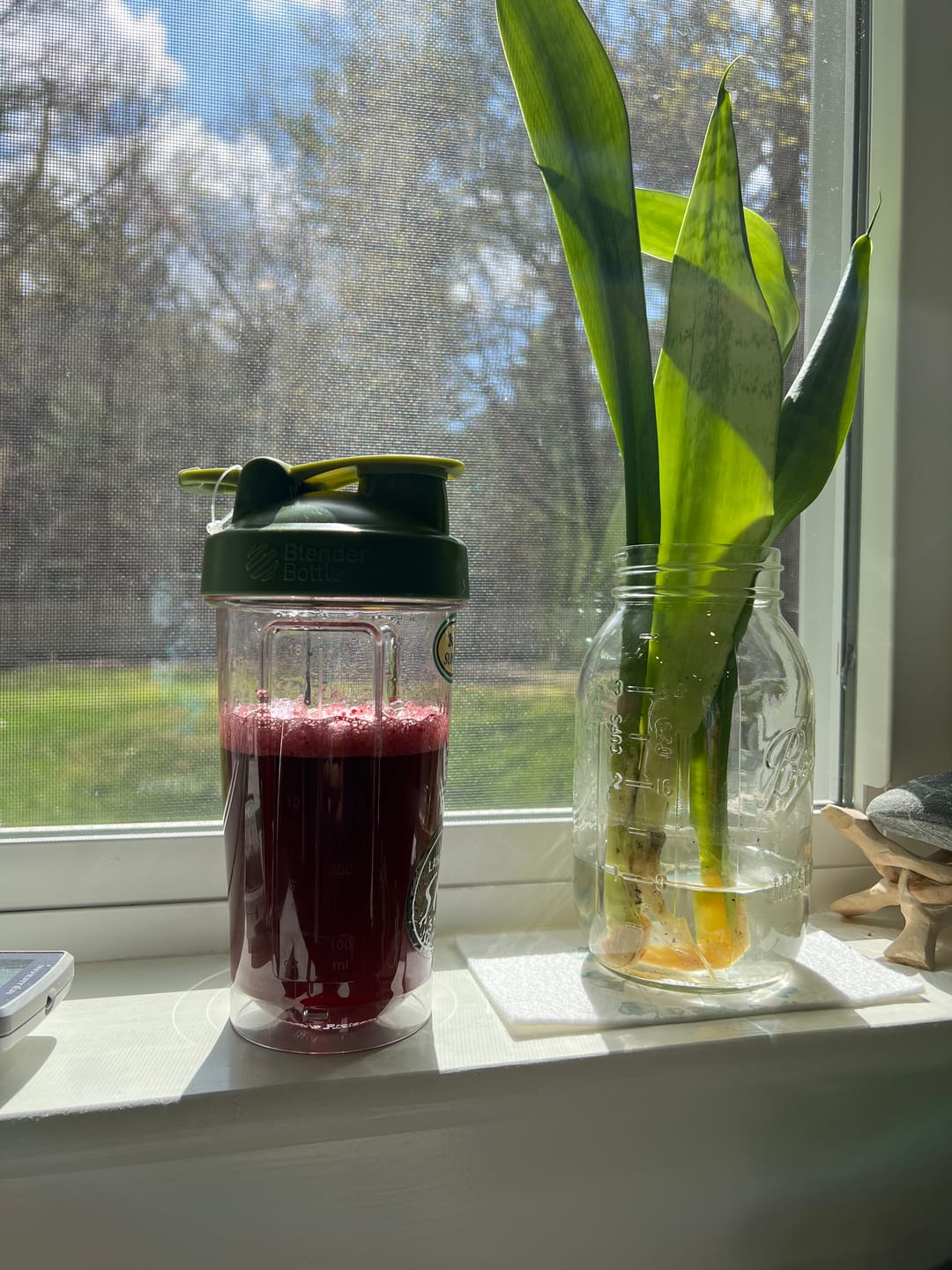 Customer photo review of Blackcurrant Pre Workout - Caffeinated