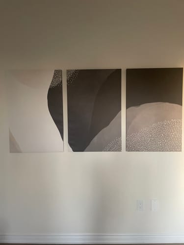 Customer photo review of 'Neutral Minimalist' Set of 3 Framed Canvas