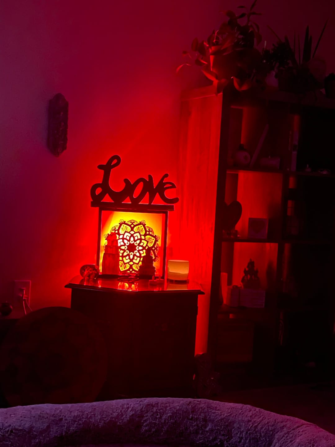 Customer photo review of Lotus Flower Mandala Light Lamp