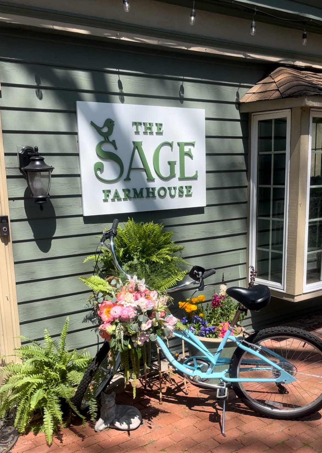 Customer photo review of Hanging Green Amaranthus