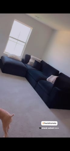 Customer photo review of Sky Velvet Deluxe Plush Modular 4 Piece Sectional