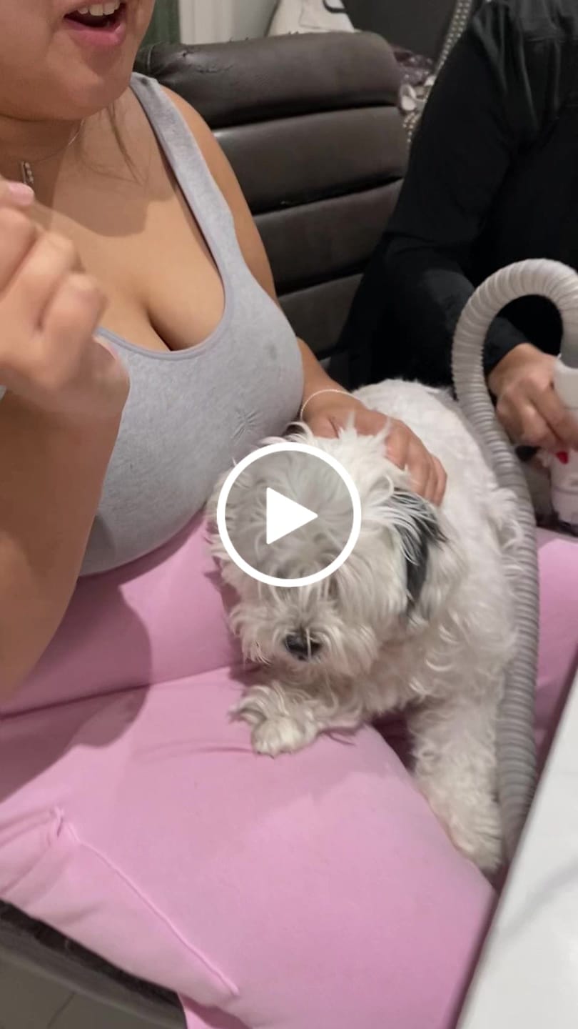 Customer video review of Neakasa S1 Pro 8-in-1 Pet Grooming Vacuum for Dogs Cats